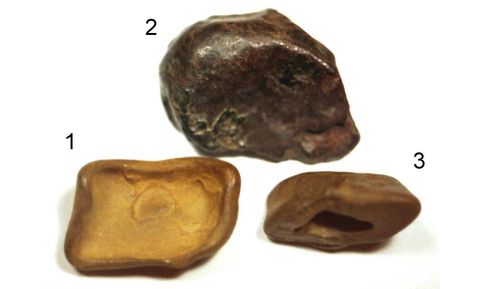 Meteorite Tunguska : annunciato l'esistenza di possibili frammenti