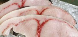 Pesce spada ritirato per presenza di mercurio oltre i limiti
