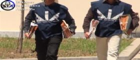 Blitz Anti Camorra a Napoli : Sgominato il clan Gionta, 14 arresti Blitz Anti Camorra a Napoli : Sgominato il clan Gionta, 14 arresti