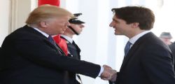 Donald Trump : Un segreto sotto il ciuffo!