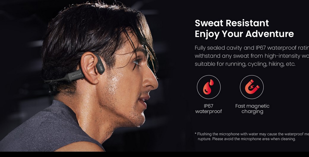 haylou purfree haylou purfree