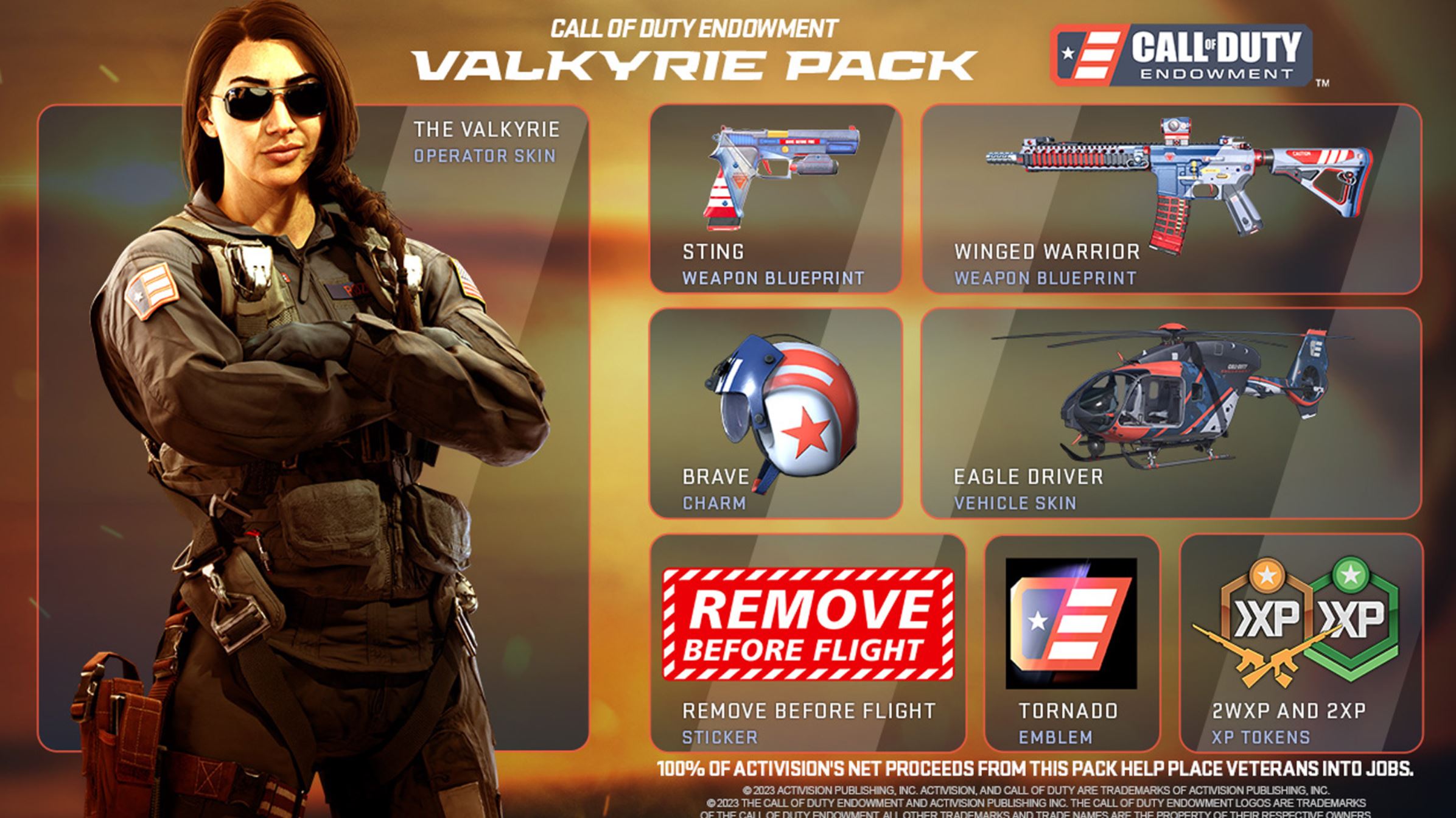 Call of Duty supporta i veterani con il pacchetto Valchiria