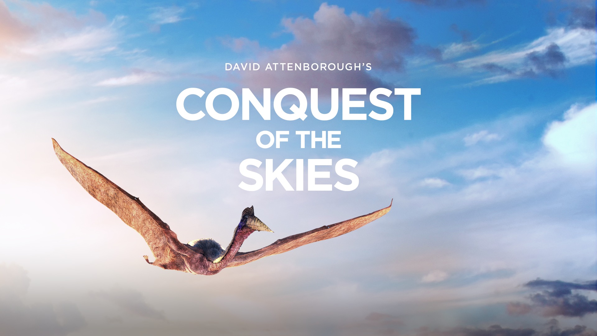 Meta VR: Alla scoperta del volo con La conquista dei cieli di David Attenborough