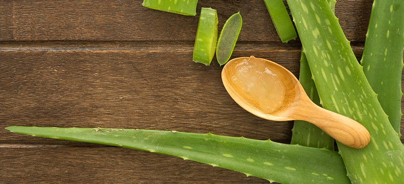 Aloe Vera : Proprietà e Utilizzo