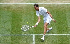 wimbledon revoca wimbledon revoca