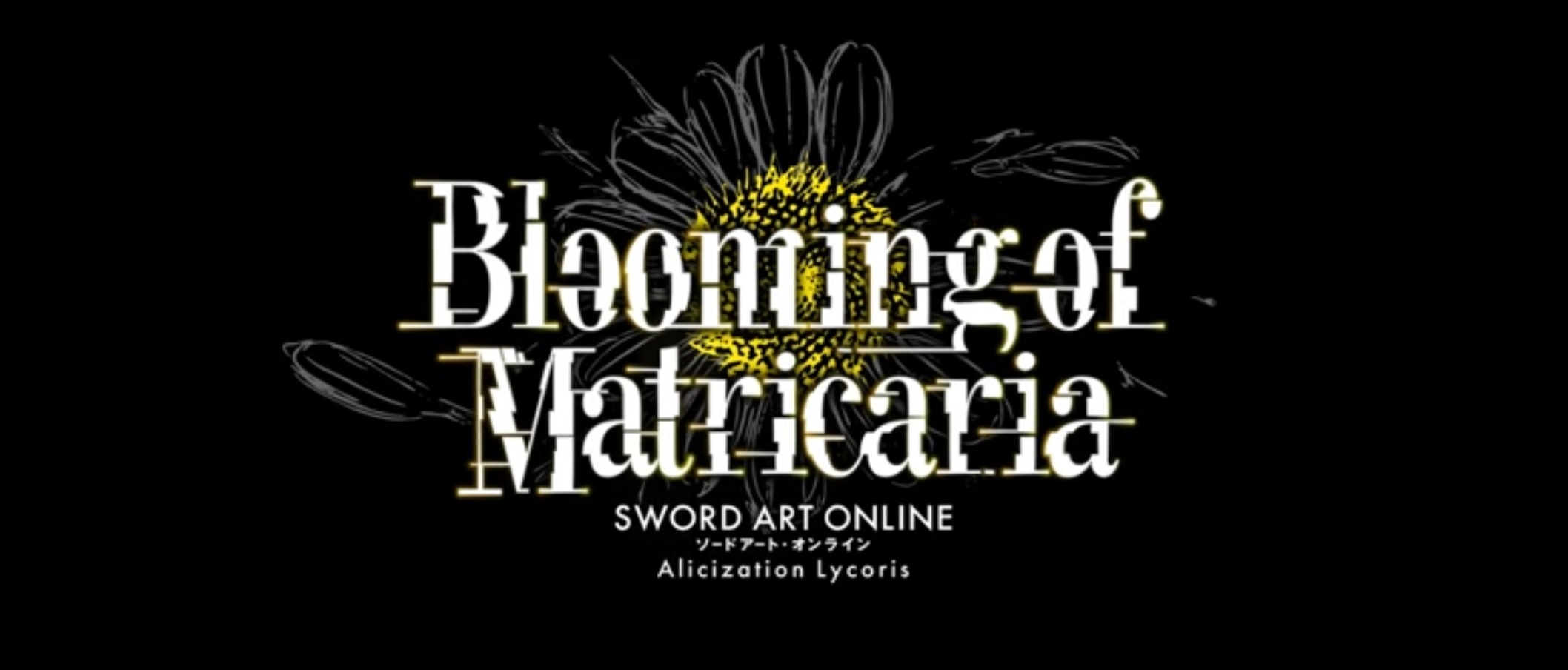 blooming matricaria