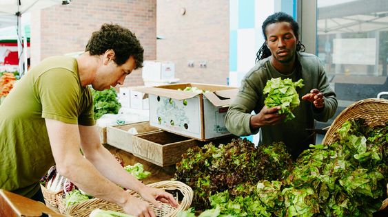 Verdure a foglia verde: classificazione, benefici ed effetti