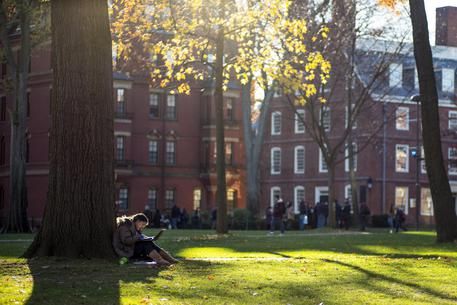 L'università di Harvard ammette : Presi 9 mln da Epstein