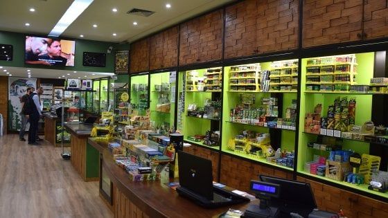 Non è all'ordine del giorno! Cannabis, Matteo Salvini vuole i negozi chiusi