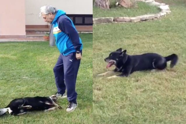 L'amico mio più grande! Il cane di Nino D'Angelo è morto