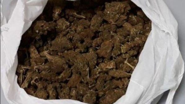 Canada : Approvata anche dal Parlamento la legalizzazione della marijuana Canada : Approvata anche dal Parlamento la legalizzazione della marijuana