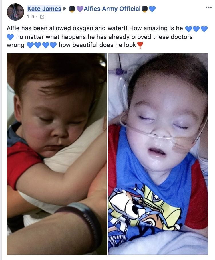 Alfie, oggi i genitori tratteranno per portare il piccolo a casa Alfie, oggi i genitori tratteranno per portare il piccolo a casa