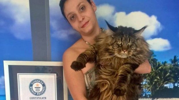 Guinness dei Primati a Vigevano : Barival è il gatto più lungo del mondo. Un metro e 20 per 9 kg Guinness dei Primati a Vigevano : Barival è il gatto più lungo del mondo. Un metro e 20 per 9 kg