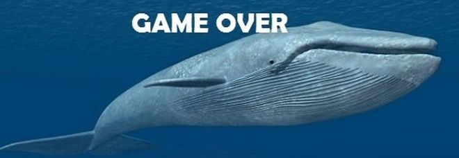 Blue Whale, il gioco del suicidio