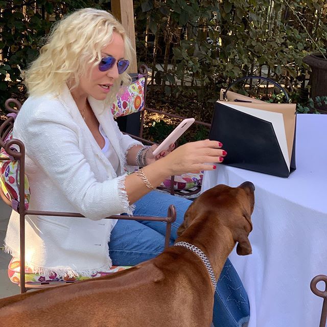 Basta punturine, sembri la donna gatto... Antonella Clerici attaccata degli haters