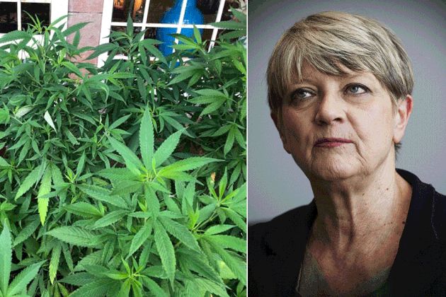 Piante cannabis : La radicale Rita Bernardini in caserma