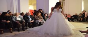 Tutti i video del Bari Fashion Red Carpet 2018 di Vincenzo Maiorano Tutti i video del Bari Fashion Red Carpet 2018 di Vincenzo Maiorano