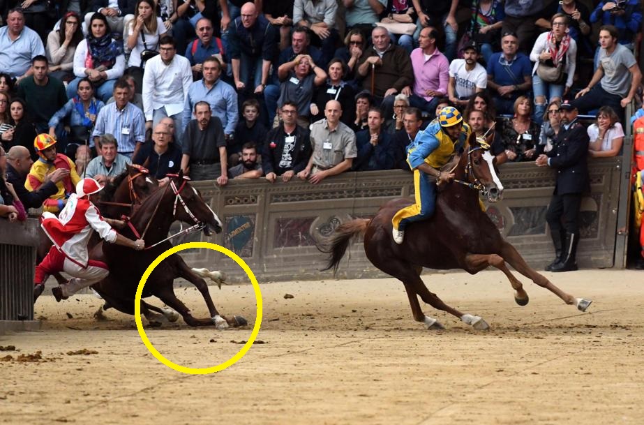 palio siena