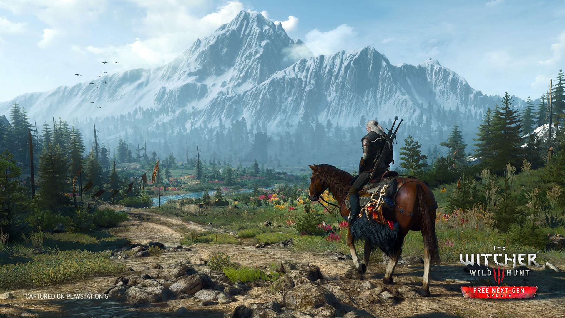 witcher complete