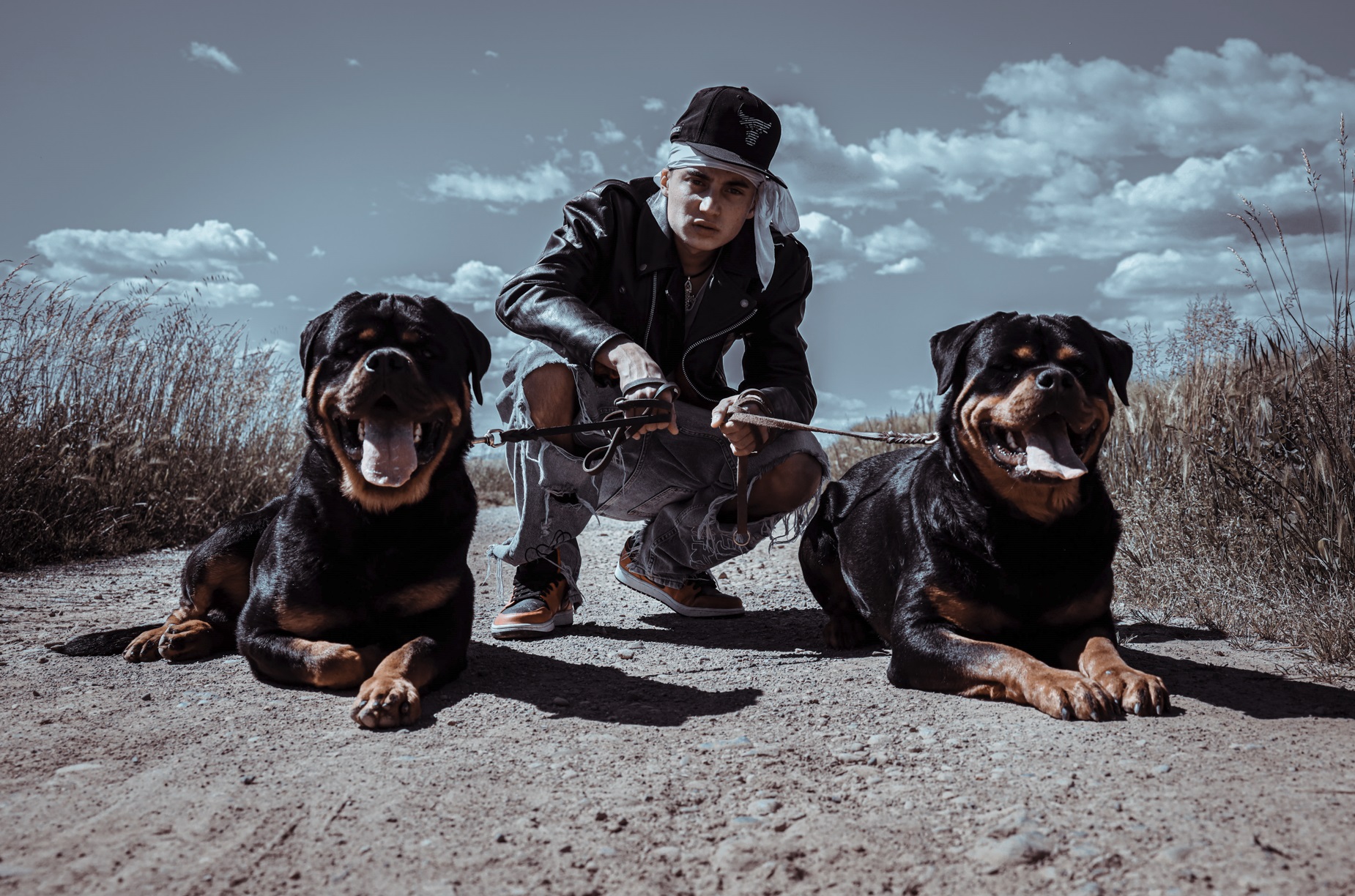 Da Bergamo arriva “Golden Goat”