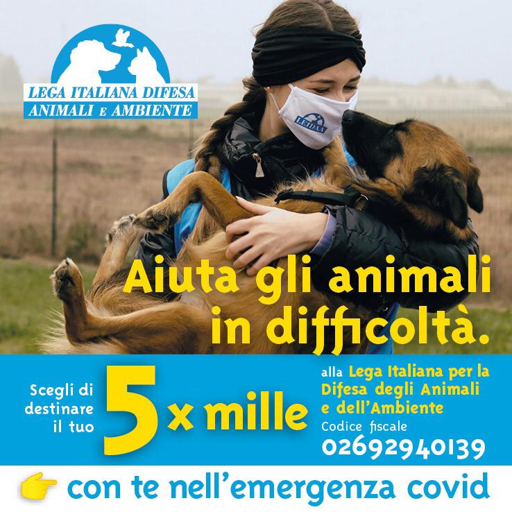 PER GLI ANIMALI È TUTTO! DONA IL 5XMILLE ALLA LEGA ITALIANA DIFESA ANIMALI E AMBIENTE