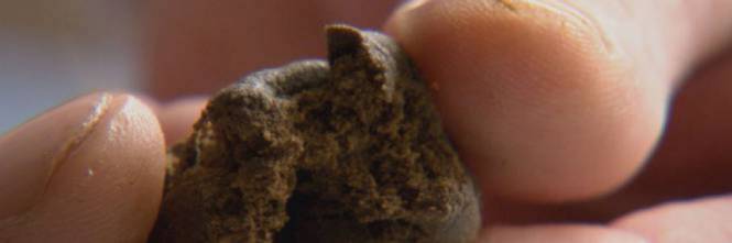 Intossicazione hashish Intossicazione hashish