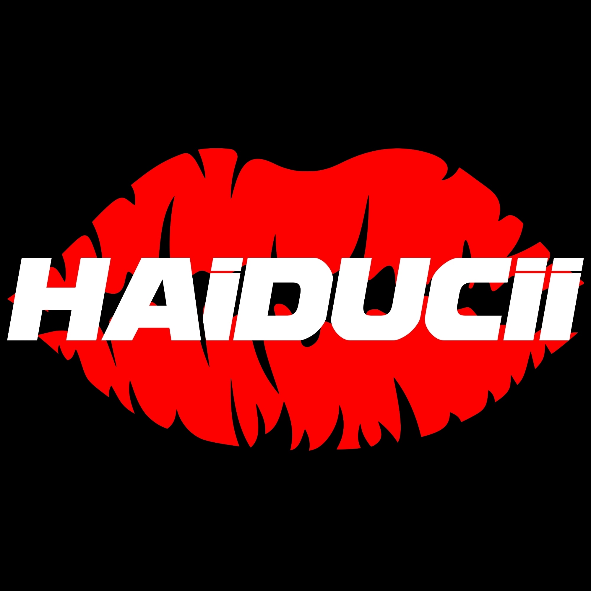 haiducii torna