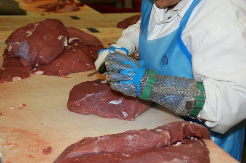 Il mattatoio degli orrori: Animali scheletrici che urlavano di dolore