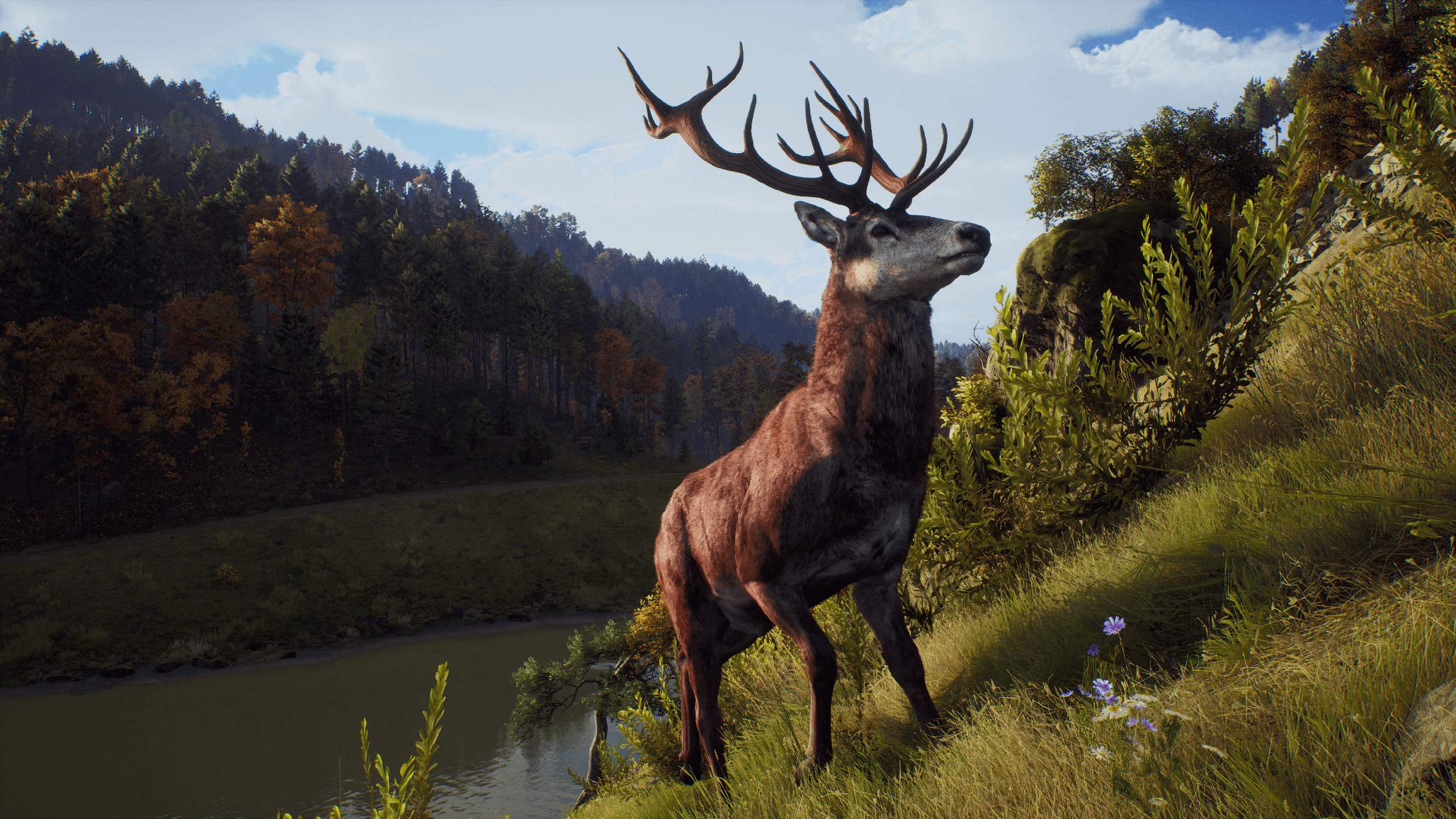 Way of the Hunter Recensione