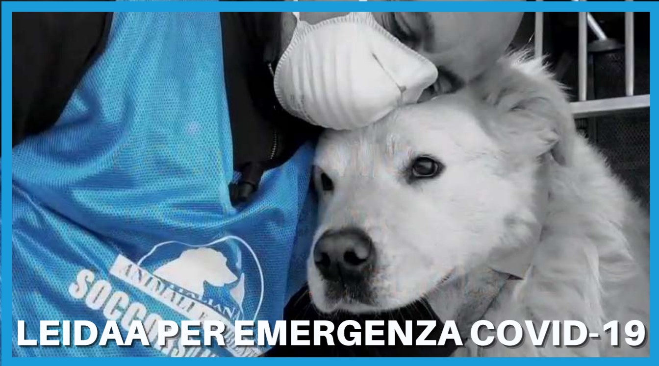 LEIDAA per emergenza Covid-19 : torna a pieno ritmo l?iniziativa per aiutare gli animali delle famiglie colpite dalla malattia