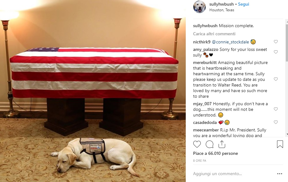 George Bush George Bush