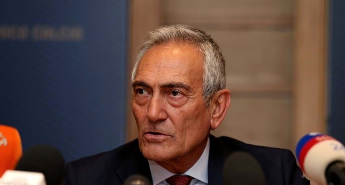 gabriele gravina gabriele gravina